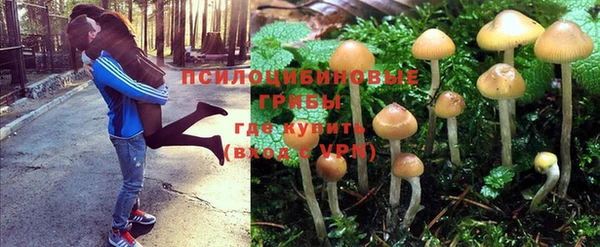 mdma Касимов